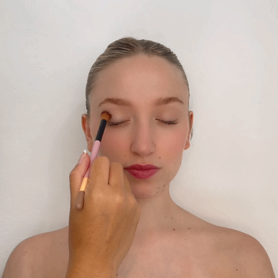 Eye Makeup Brush Duo
